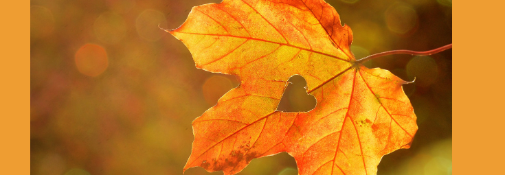 Was Herbst, Lunge und Darm verbinden