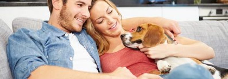 Ein erfülltes Leben führen