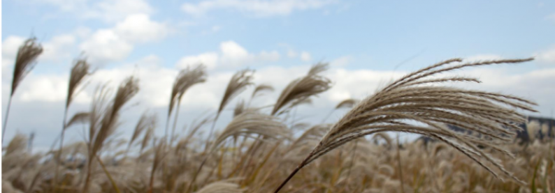 Frischer Wind bringt Veränderung